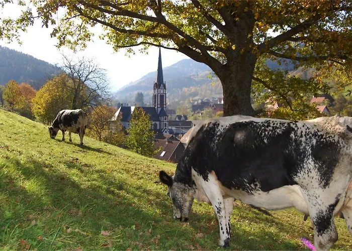 Petit week end dans la vallée