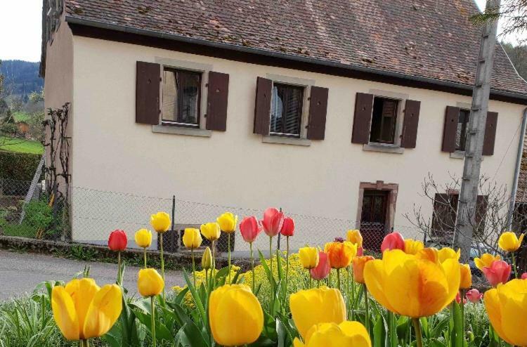 Appartement Petit Week End Dans La Vallée Breitenbach-Haut-Rhin