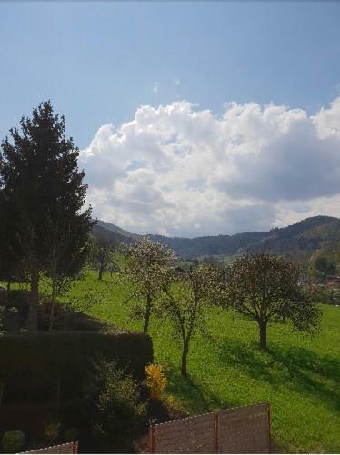 Petit Week End Dans La Vallée Appartement Breitenbach-Haut-Rhin