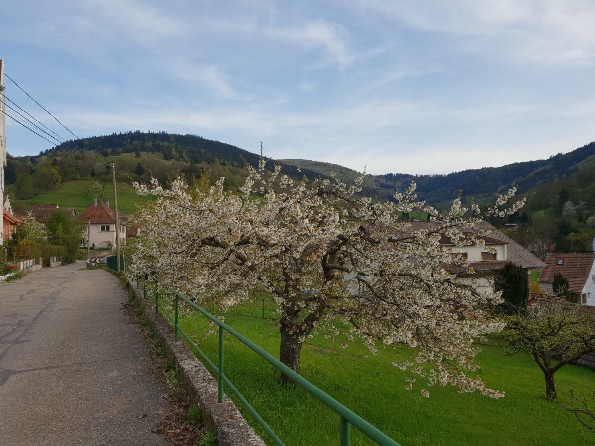 Appartement Petit Week End Dans La Vallée Breitenbach-Haut-Rhin