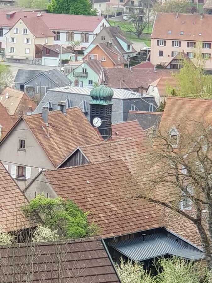 Petit Week End Dans La Vallée Appartement Breitenbach-Haut-Rhin